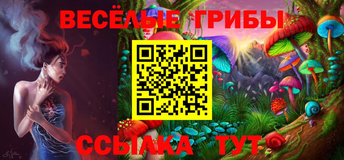 Псилоцибиновые грибы Psilocybe Каменка