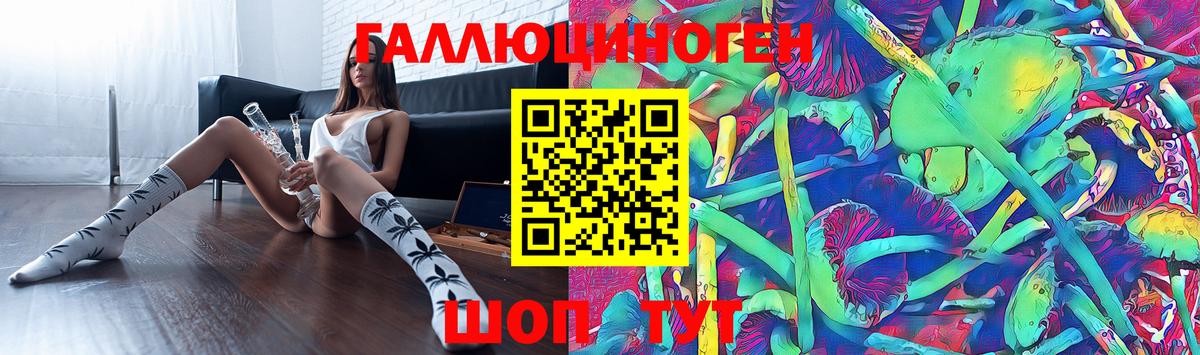 Псилоцибиновые грибы Psilocybine cubensis  Галлюциногенные грибы ЛСД  Каменка  Вход с VPN 